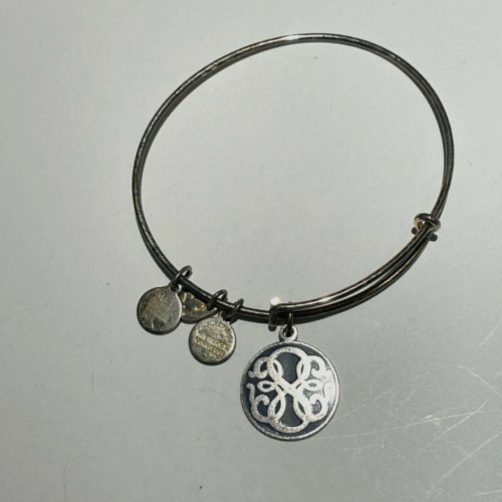 Alex and Ani Women's Path Of Life Charms Bangle Bracelet Silver Tone Adjustable